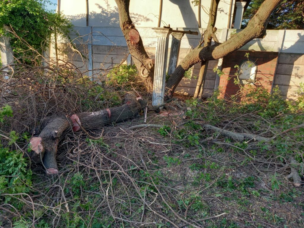 Garden services Cape Town