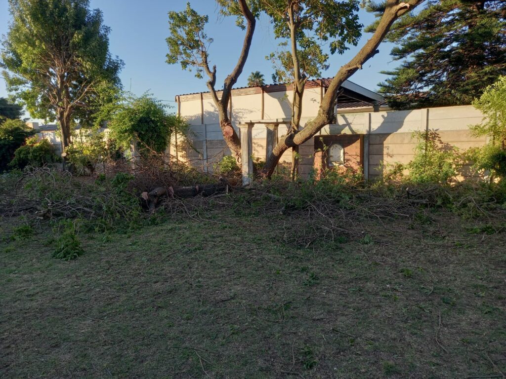 Tree Felling Cape Town - VDH
